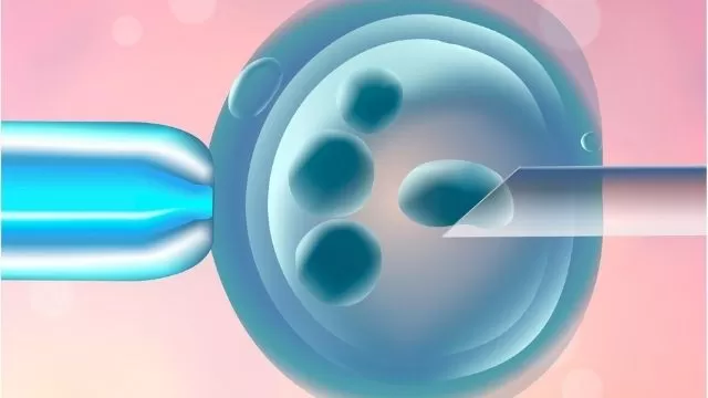 Embryo biopsy